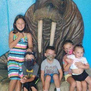 Meet your Posher, Susie copeland